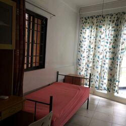 Race Course Rd/Owen Road Conservation Area (D8), Terrace #473798141